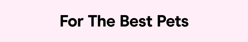 For The Best Pets