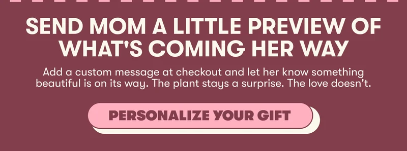 send a gift preview
