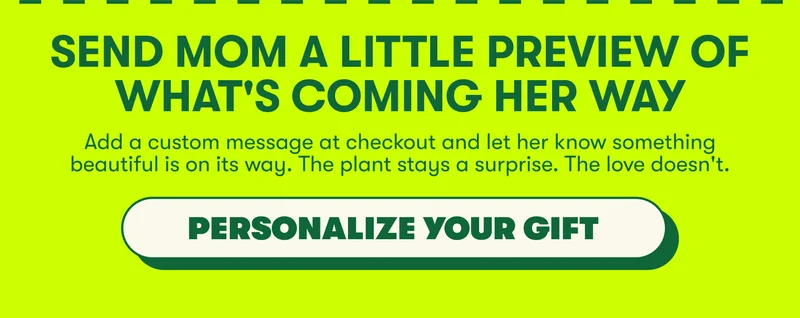 send a gift preview