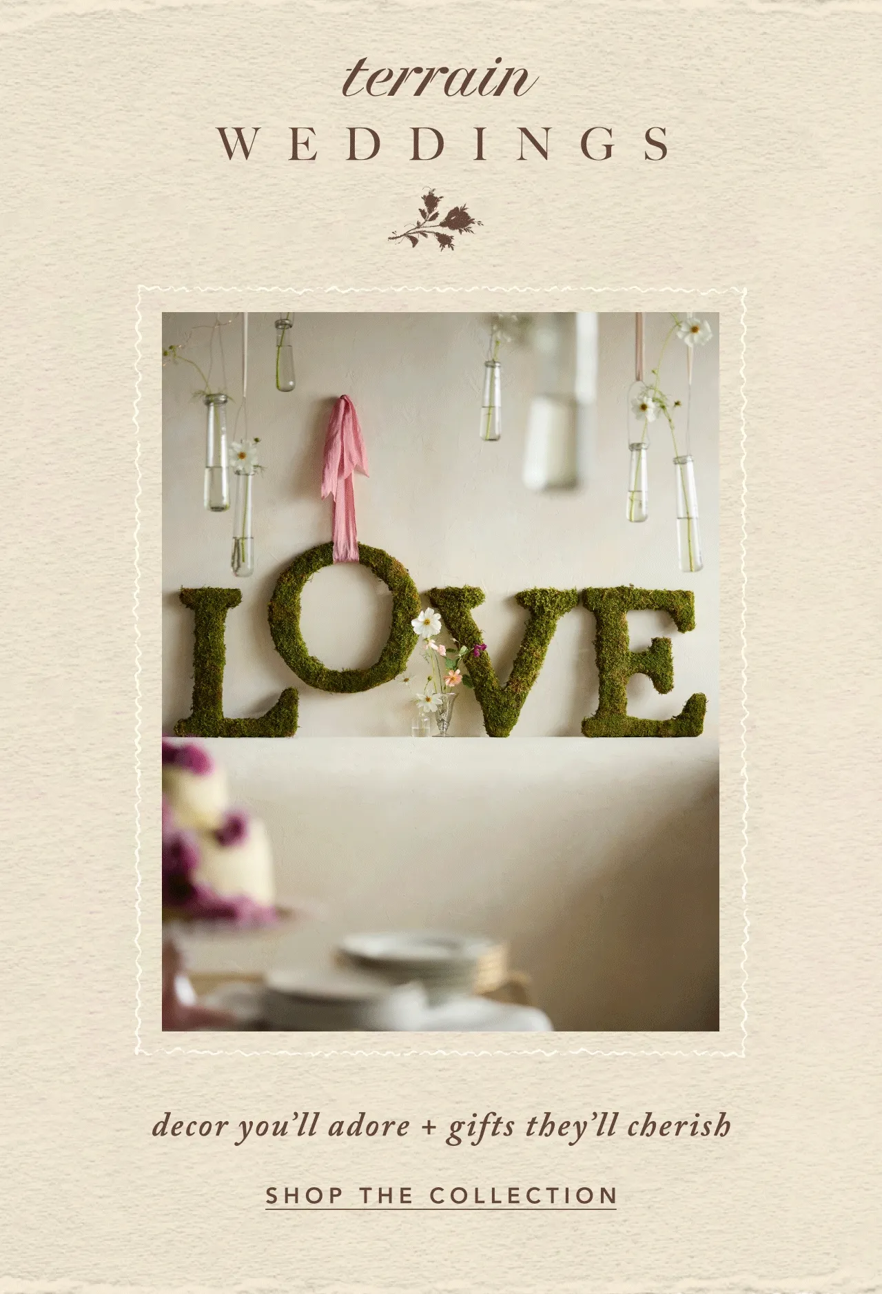 terrain Weddings