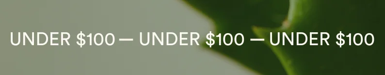 under $100