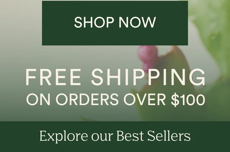 shop now with free shipping over $100