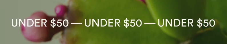 Under $50
