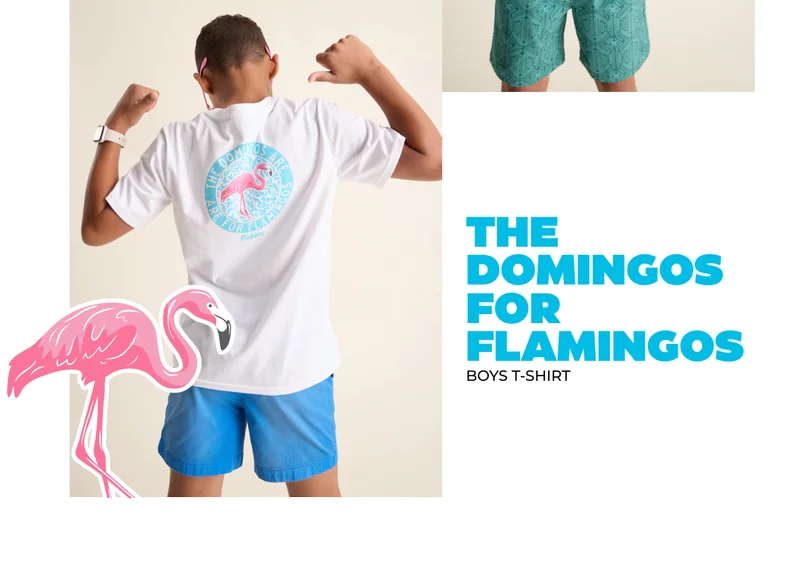 Boys T-Shirt: The Domingos For Flamingo