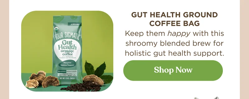 Gut Health Ground Coffee Bag | Keep them happy with this shroomy blended brew for holistic gut health support. | Shop now