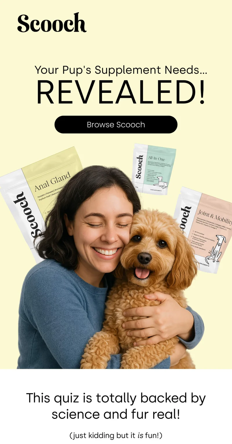 Your Pup's Supplement Needs