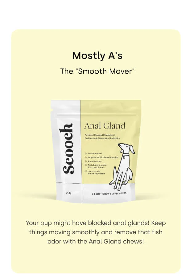 The "Smooth Mover"