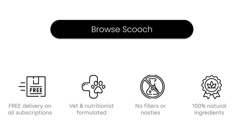 Browse Scooch