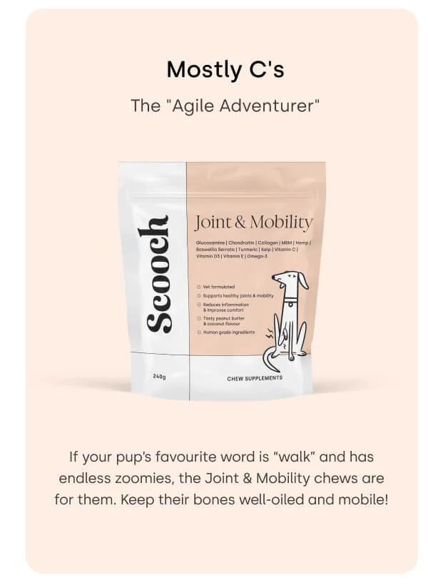 The "Agile Adventurer"