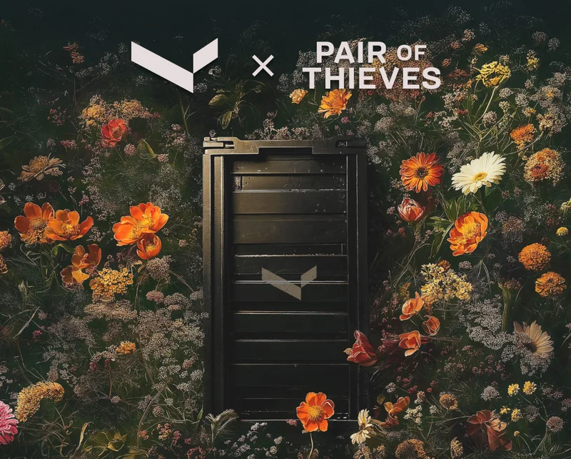 Valt x Pair of Thieves
