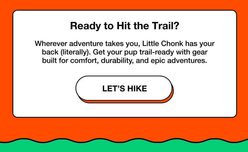 Let's Hike!