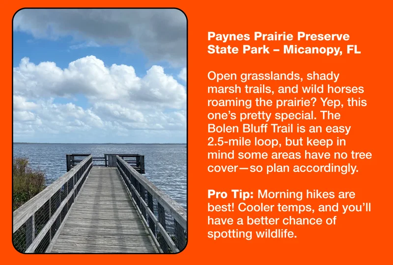 Paynes Prairie Preserve State Park – Micanopy, FL