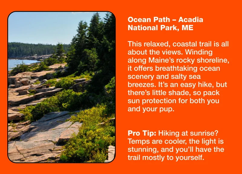 Rocky Woods – Medfield, MA
