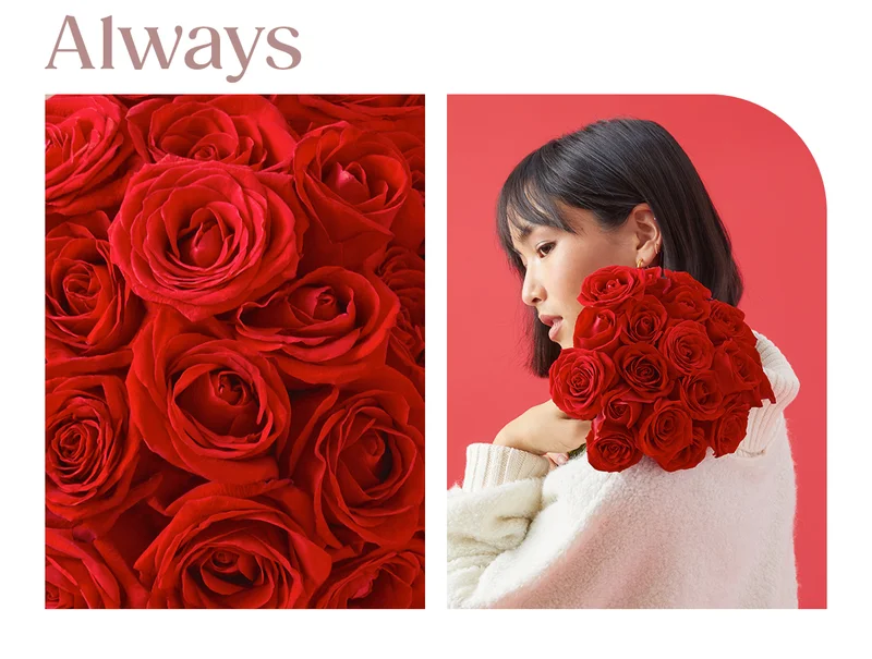 Featured Rose Bouq: Always
