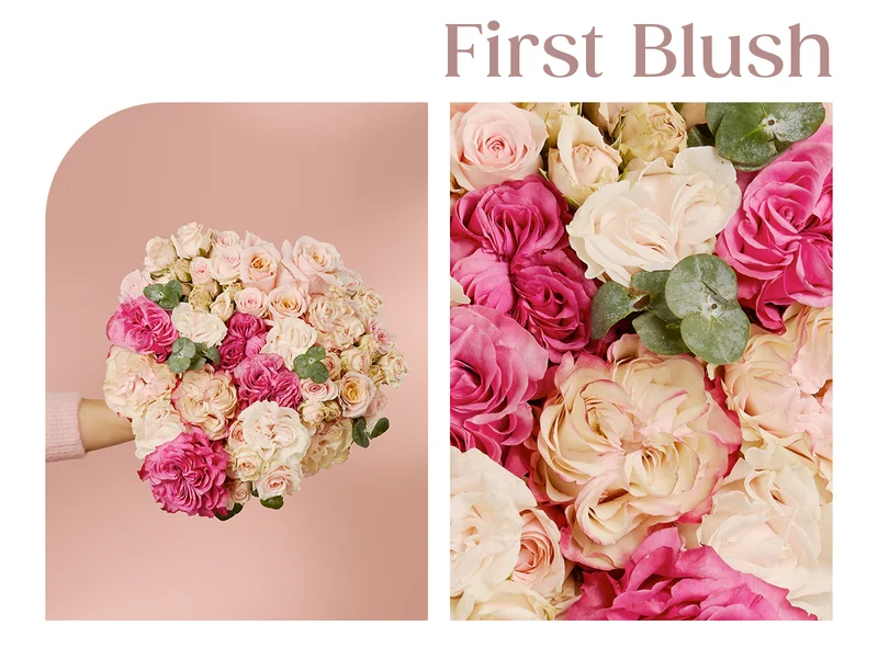 Featured Rose Bouq: First Blush