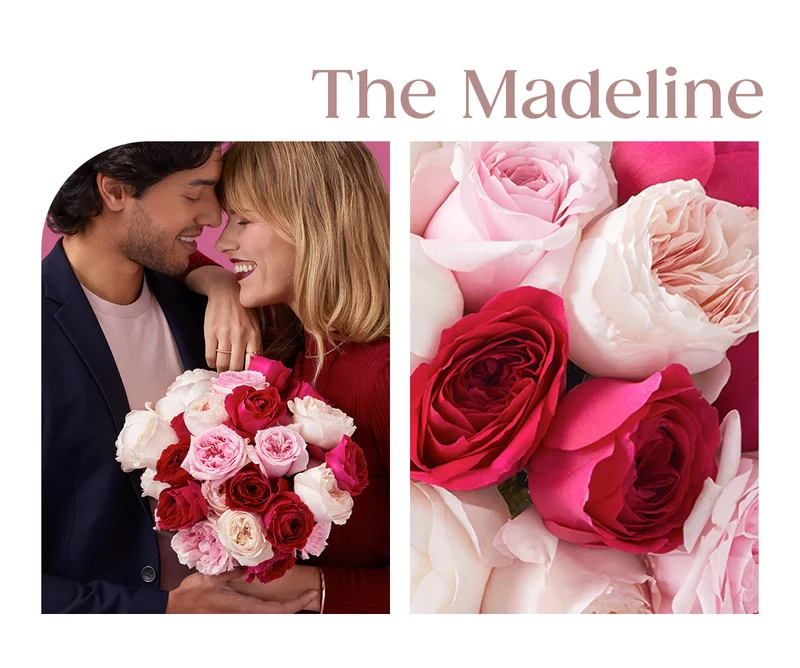 Featured Rose Bouq: The Madeline