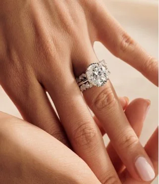 Shop the Olivetta Collection