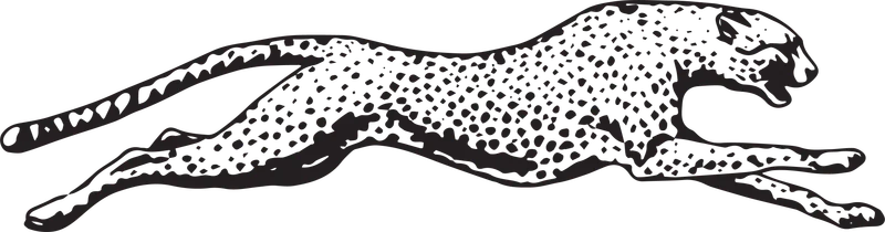Brother Brother Website