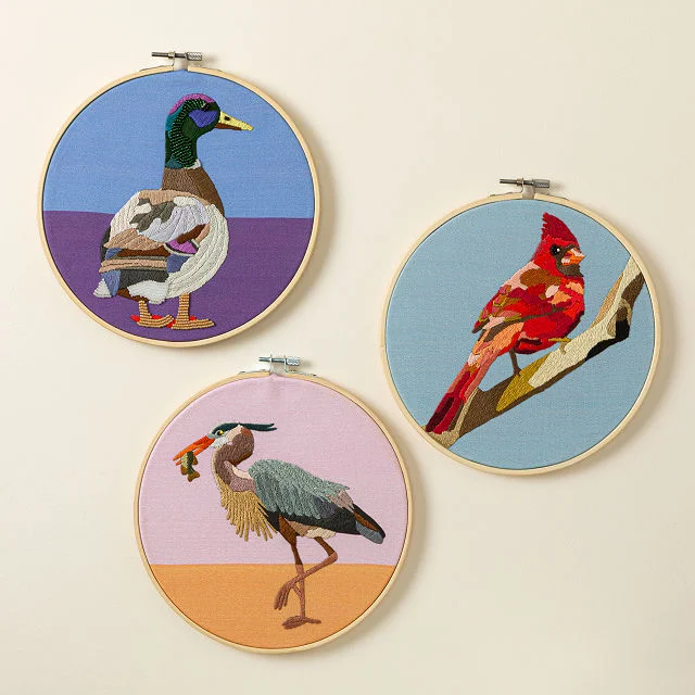 Beginners Bird Embroidery by Numbers Kit