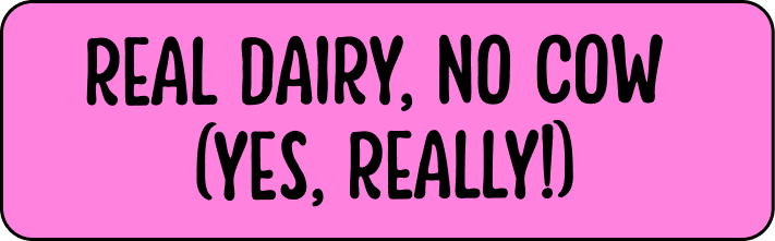 Real dairy, no cow (yes, really!)