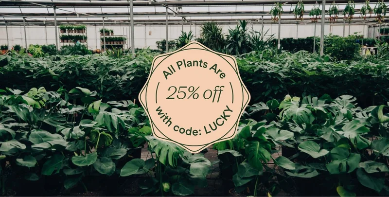 25% off all plants with code discount code