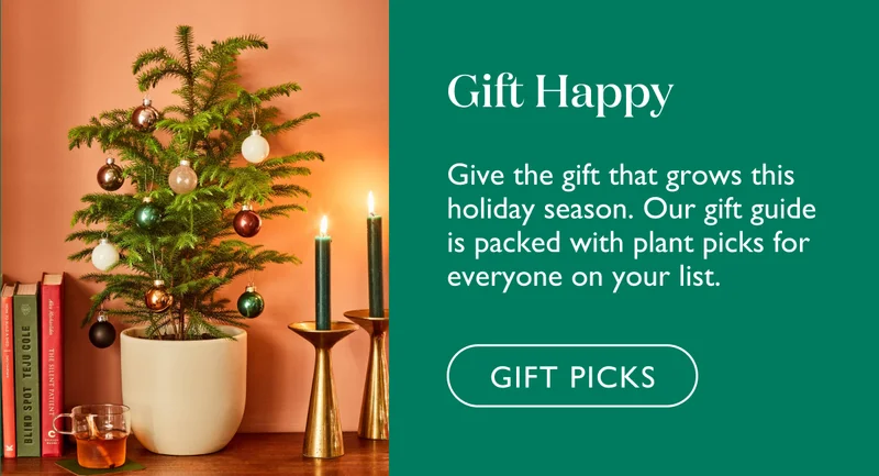 Give the gift that grows this holiday season. Our gift guide is packed with plant picks for everyone on your list.