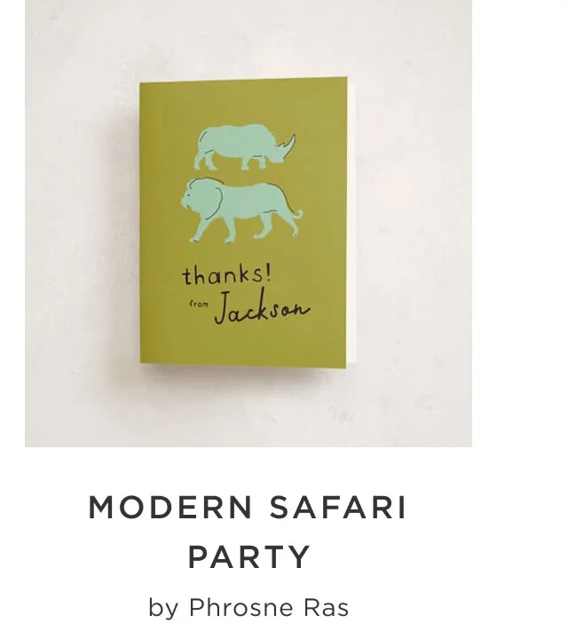 Modern Safari Party