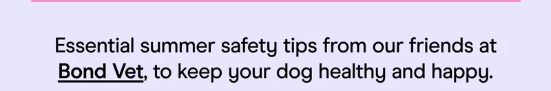 Essential summer safety tips from our friends at Bond Vet to keep your dog healthy and happy.