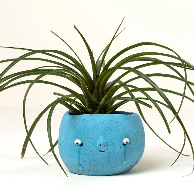 Tears of Joy Planter