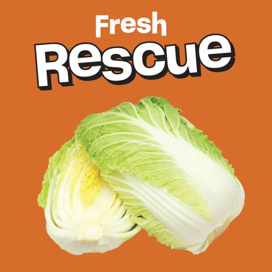 Small Napa Cabbage
