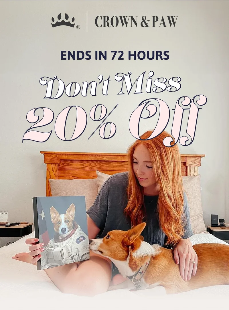 Ends in 72 hours - Don't Miss 20% Off