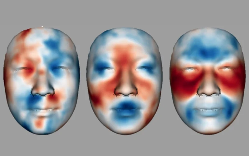 Created using a 3D camera system and artificial intelligence, this heat map indicates how an average Han Chinese woman’s face changes with age.