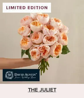 Flowers At a Great Price