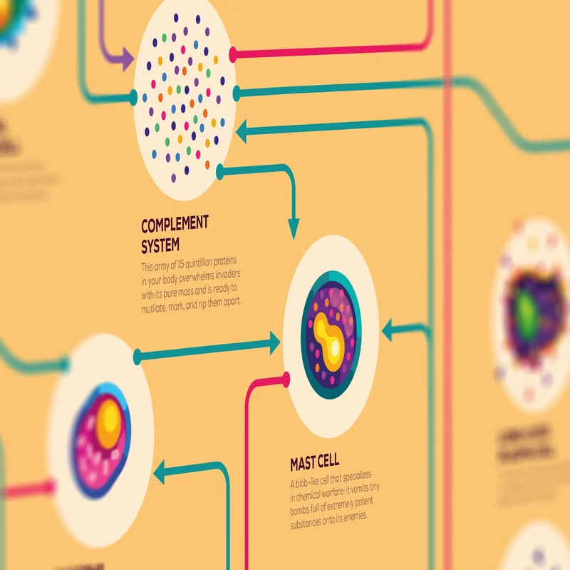 Immune Infographic Poster