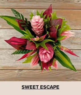Valentine's Day Gifts Under $60
