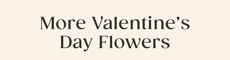 More Valentine's Day Flowers More Valentine's Day Flowers