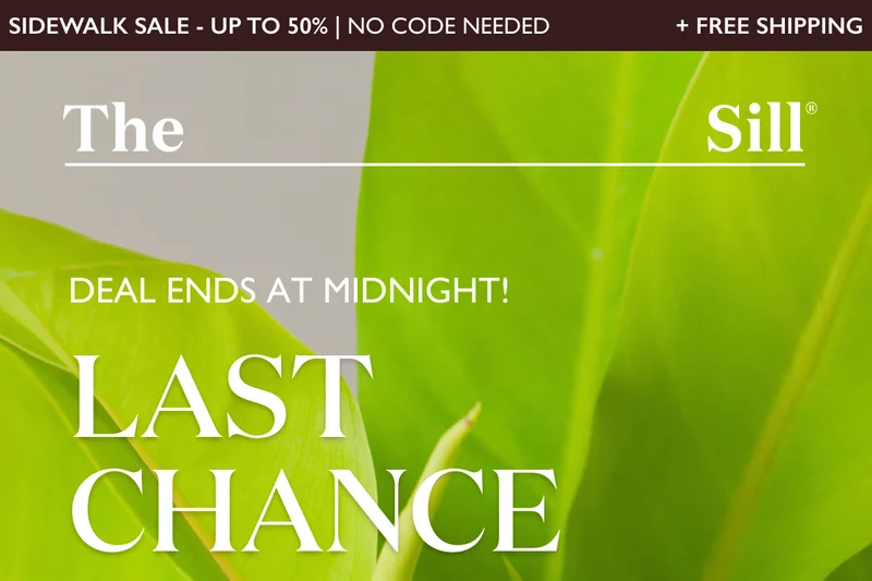 Today's Deal of the Day Ends at Midnight!