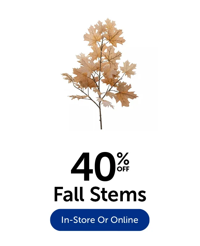 40% Off Fall Stems