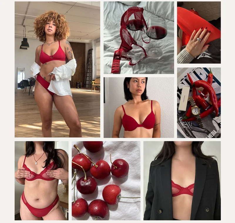 The Committee in Scarlet