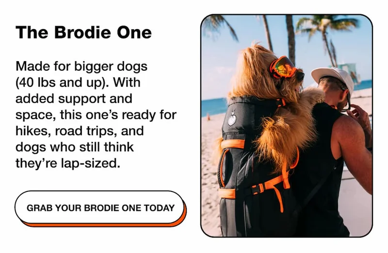 The Brodie One
