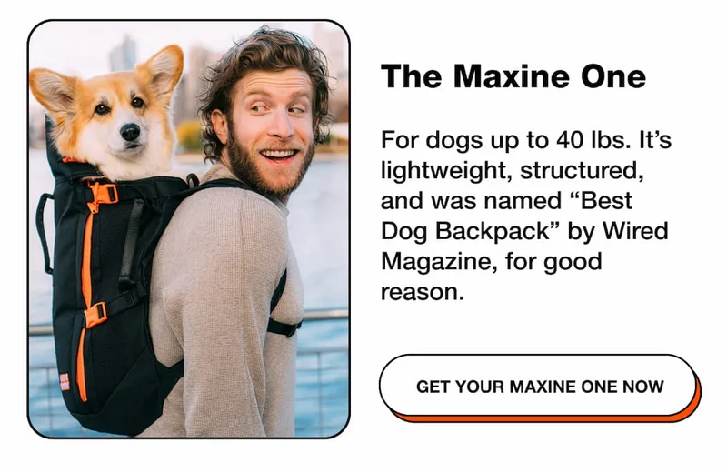 The Maxine One