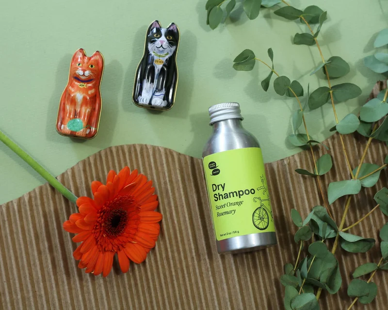 A metal bottle with a green label is laid down atop of a piece of wavy cardboard next to a red flower, two metal cat figures and a branch of eucalyptus.