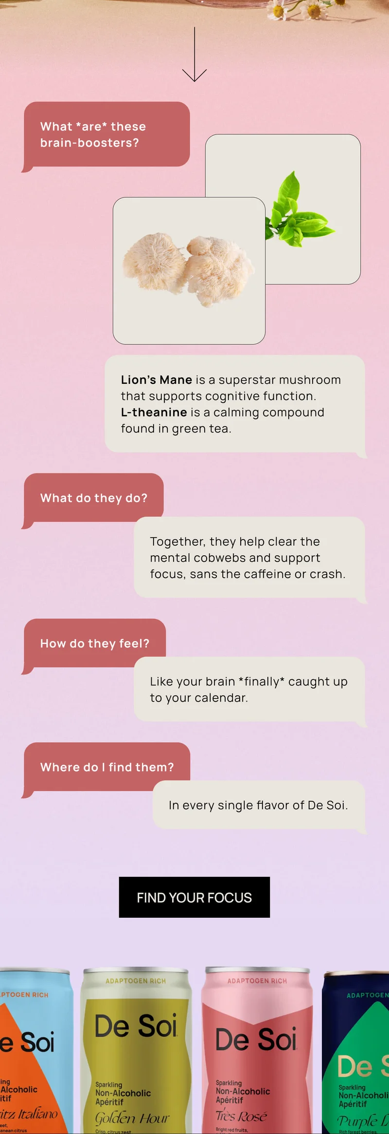 What *are* these brain-boosters? | Lion’s Mane is a superstar mushroom that supports cognitive function. L-theanine is a calming compound found in green tea.  | What do they do? |  Together, they help clear the mental cobwebs and support focus, sans the caffeine or crash. |  How do they feel? Like your brain *finally* caught up to your calendar. |  Where do I find them? | In every single flavor of De Soi.