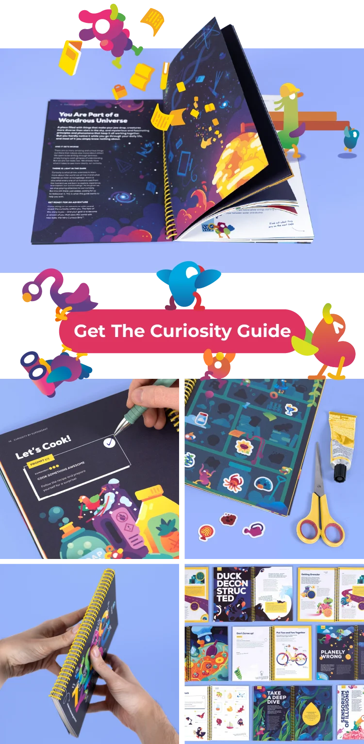 Get The Curiosity Guide!