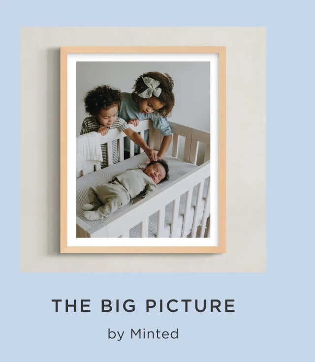 The Big Picture