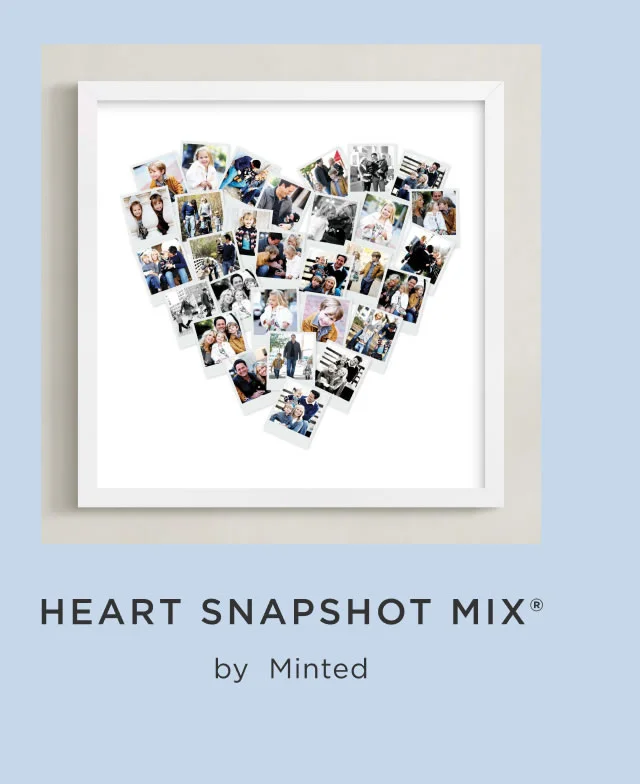 Heart Snapshot Mix®