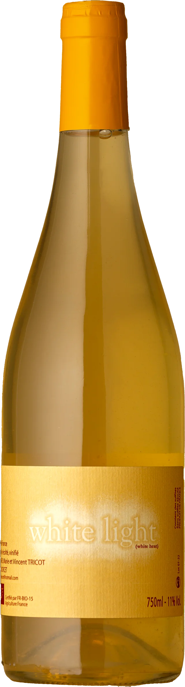 Image of Marie et Vincent Tricot <BR> White Light Blanc 2022
