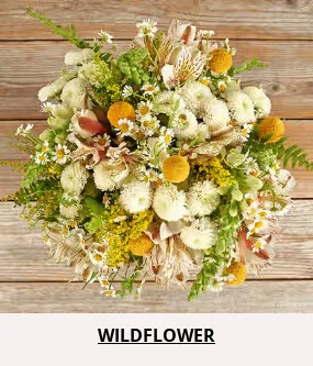 Double Your Blooms For Free