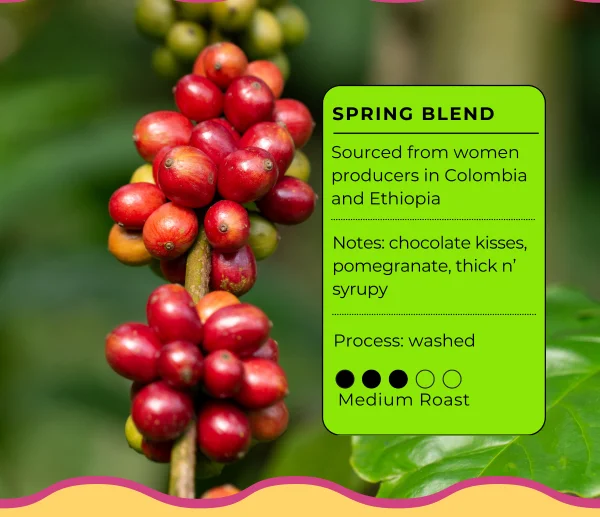 Spring Blend! Notes of chocolate kisses, pomegranate, thick n'syrupy. Medium Roast.