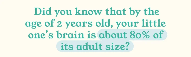Did you know that by the age of 2 years old, your little one's brain is about 80% of its adult size?